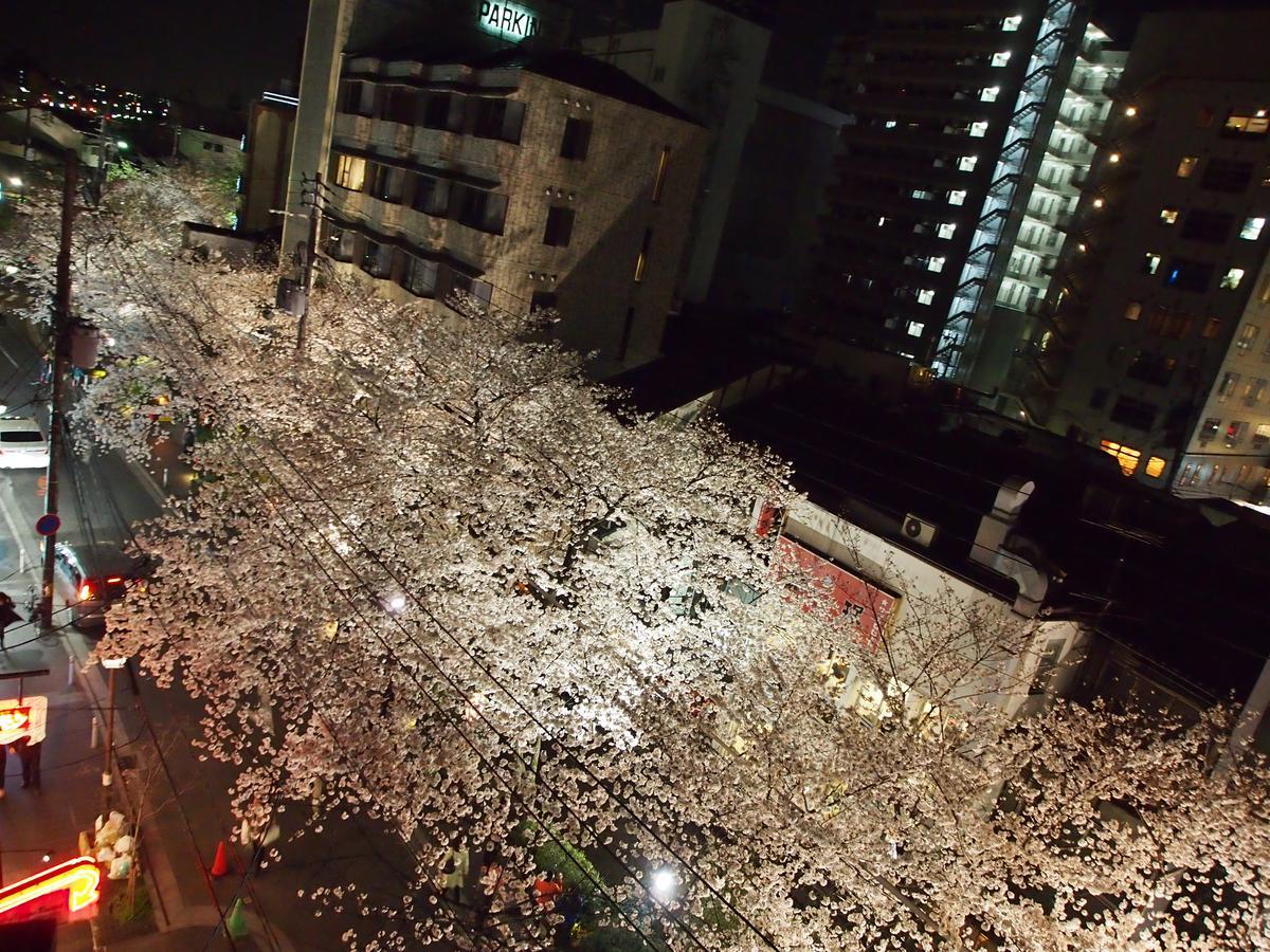 Business Shusenkaku 3* Kyōto